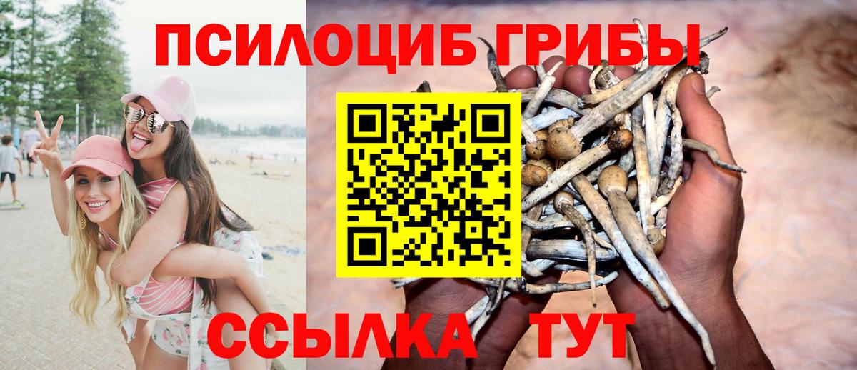 Апатиты  Галлюциногенные грибы мухоморы  Псилоцибиновые грибы Cubensis  Вход с VPN 